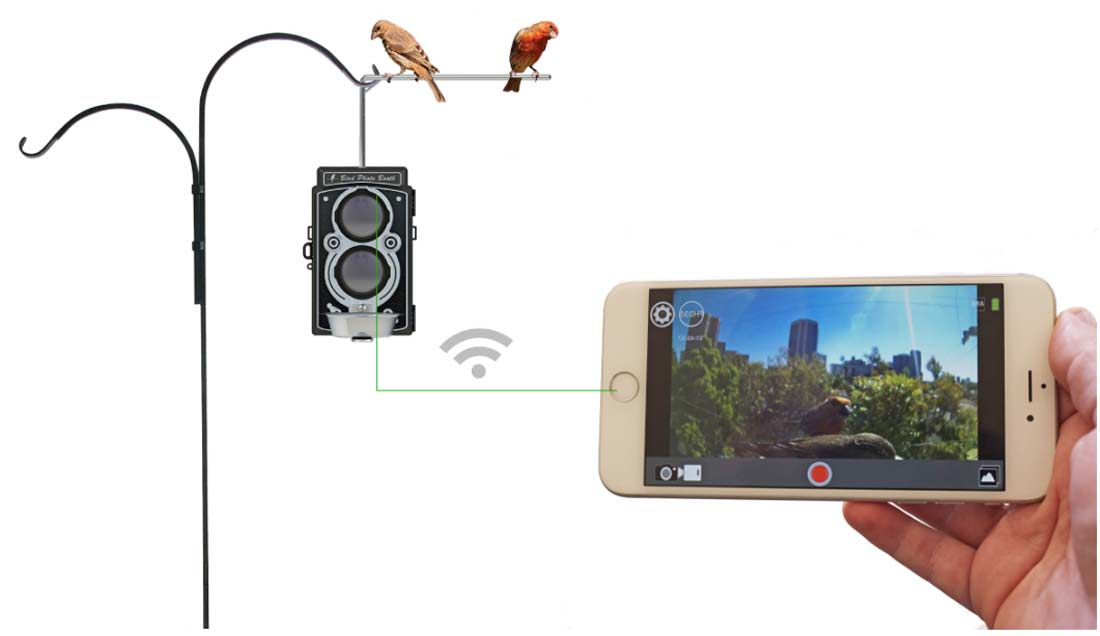 Wi-Fi live view realtime bird cam streaming to bird feeder.